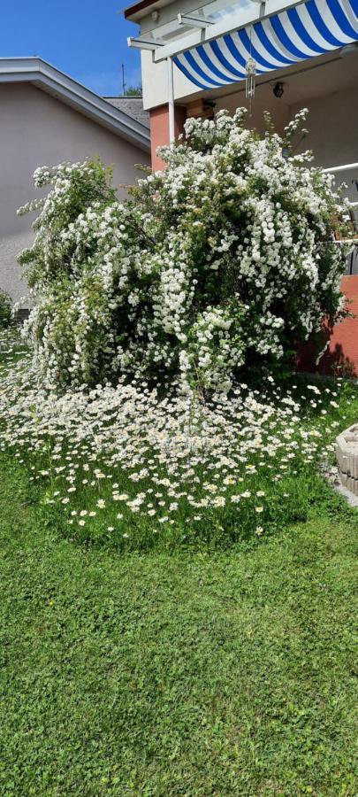 Appartamento Haus Kiko Velden am Wörthersee Esterno foto