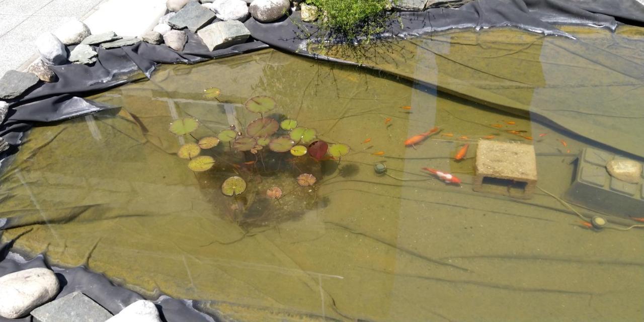 Appartamento Haus Kiko Velden am Wörthersee Esterno foto